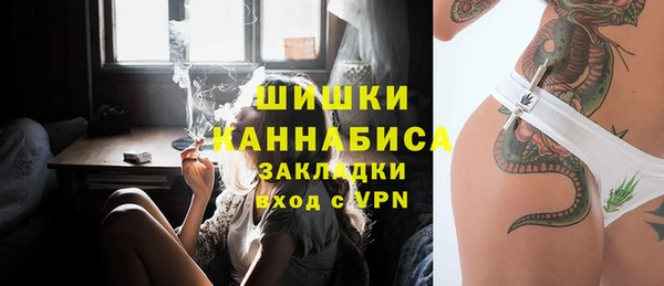 дмт Бородино