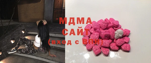 дмт Бородино