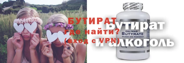 дмт Бородино