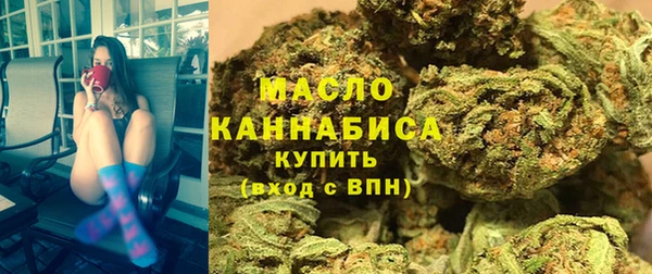 дмт Бородино