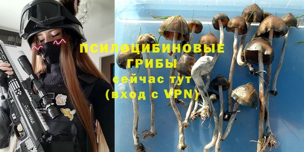 дмт Бородино