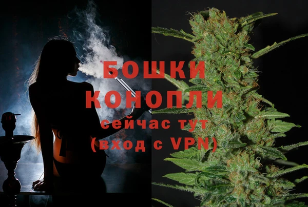 мдпв Бронницы