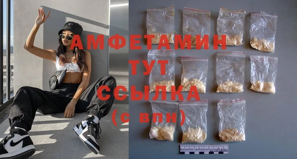 дмт Бородино