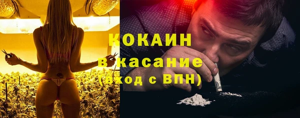 дмт Бородино